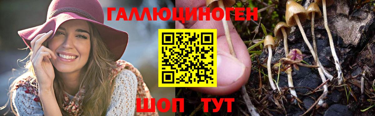 Галлюциногенные грибы прущие грибы  Вход с VPN  Знаменск 