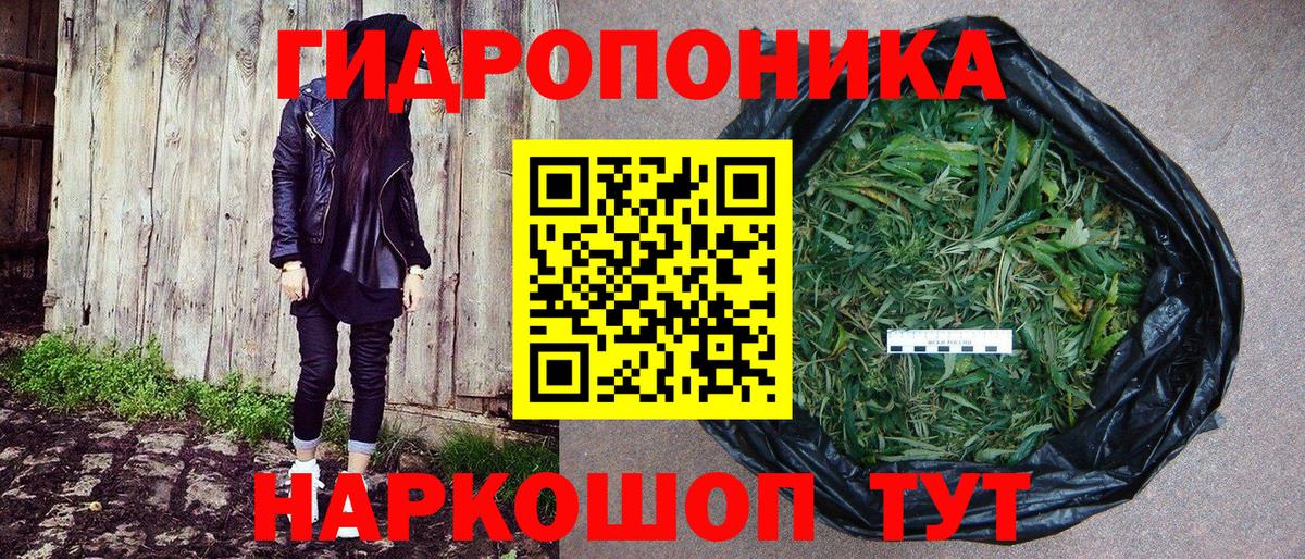 МАРИХУАНА сатива Знаменск